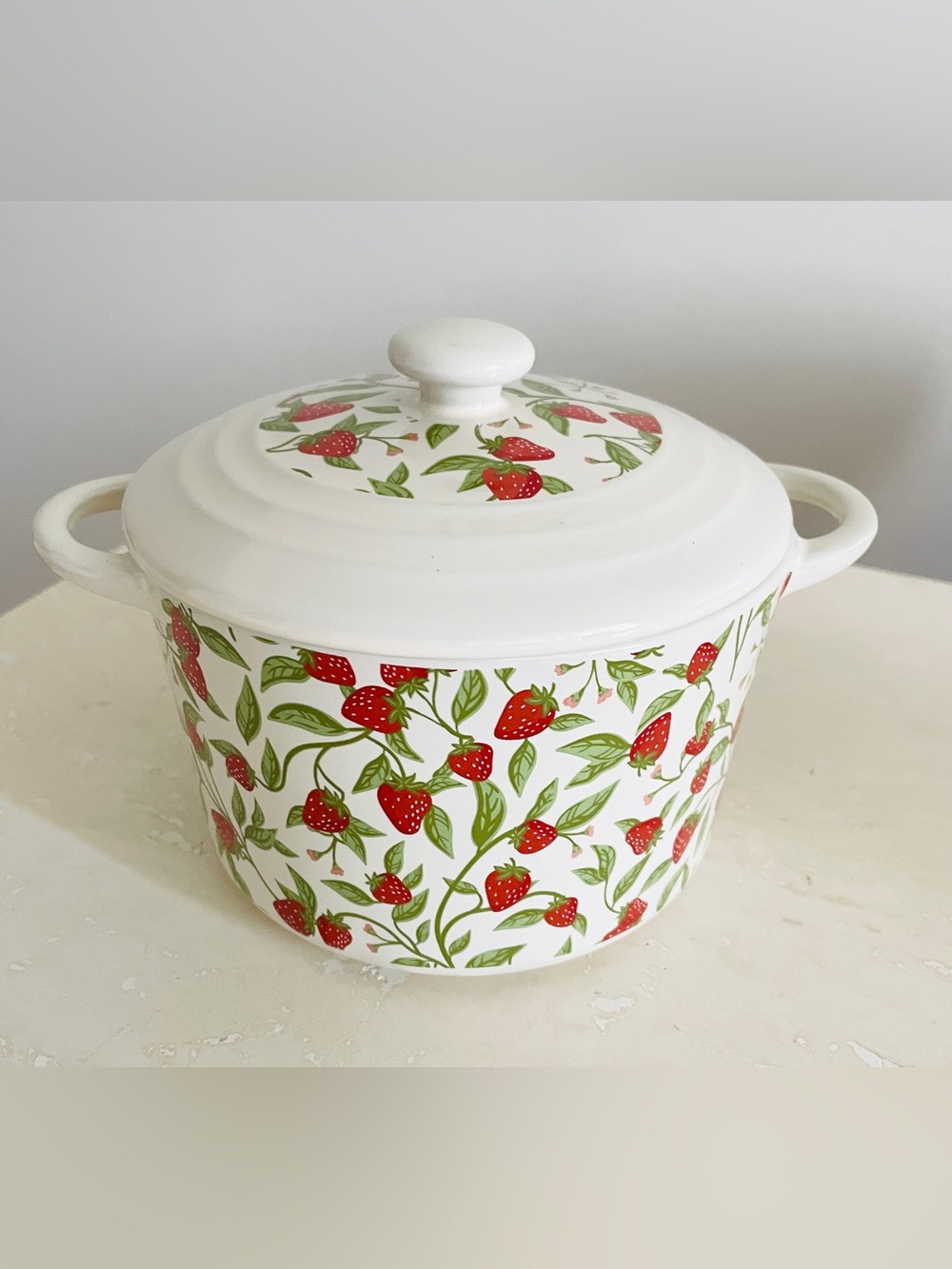 New Mini Casserole Dish w Lid Oven Safe Up To 450F Rustic Farmhouse 0.8 qt